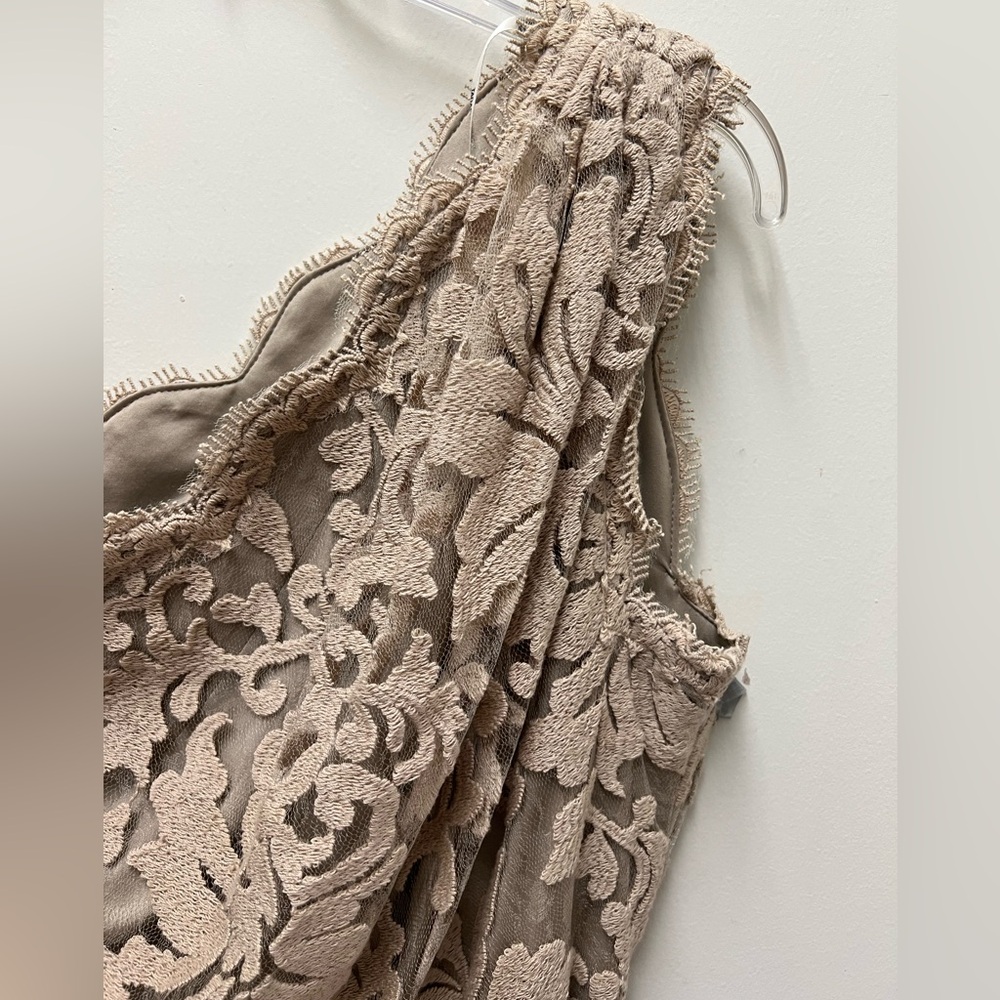 Tadashi Shoji One-Shoulder Lace Gown in Champagne - Picture 4 of 11